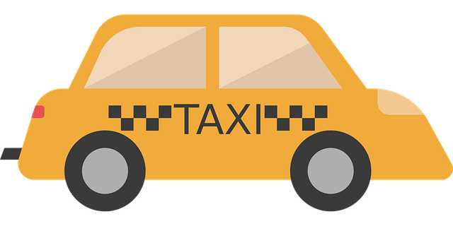 formation taxi à lyon